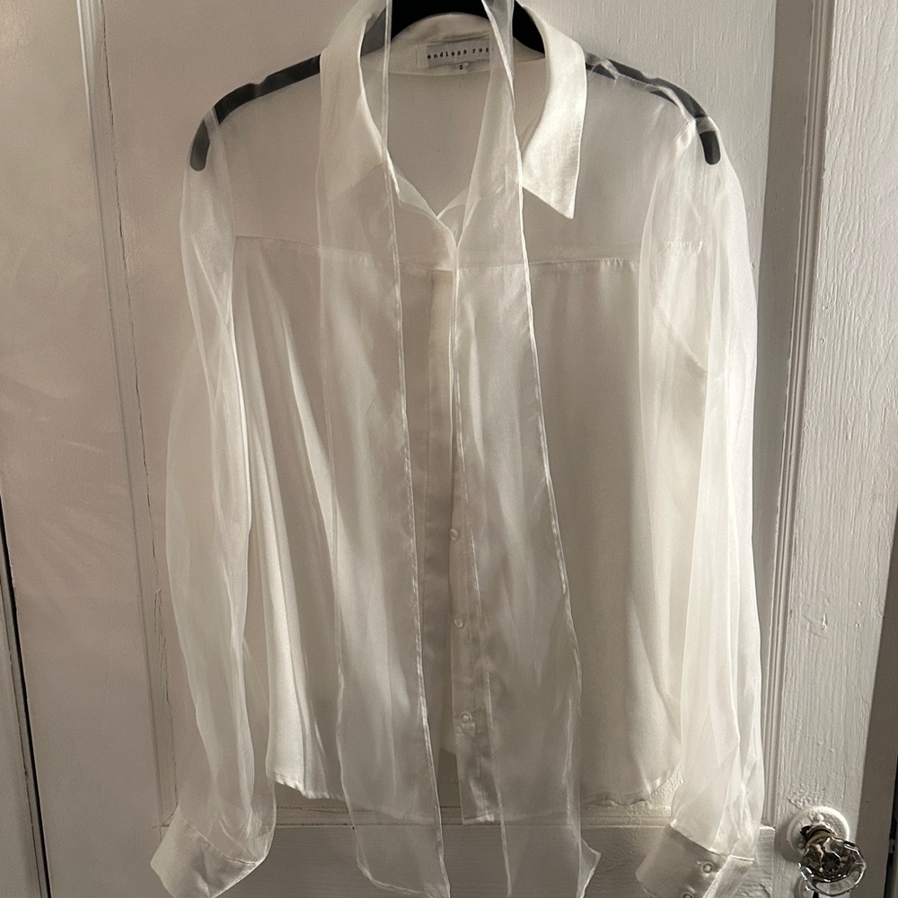 Endless Rose Sheer Cream Blouse